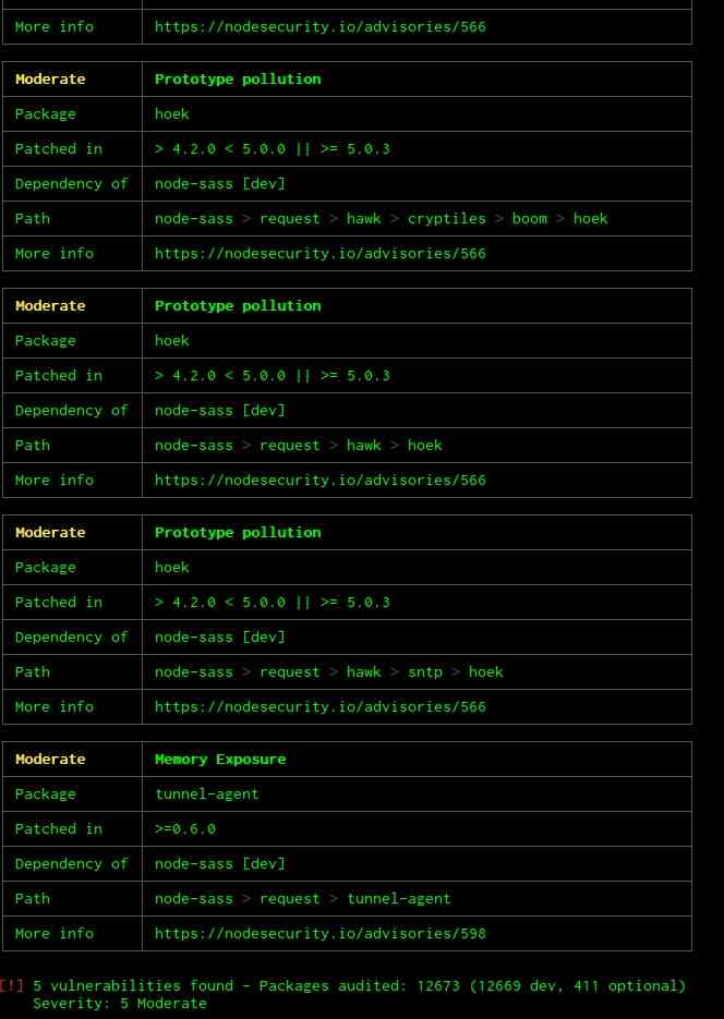 Ejemplo de la salida que produce npm audit